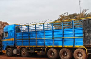 Burkina/Fraude: 130 sacs d’explosifs, 200 sacs de fil à tresser, 24 balles de sachets plastiques saisis