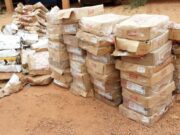 Burkina: des croupions, cuisses et gésiers de dindes transformés en engrais saisis