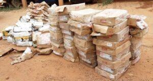 Burkina: des croupions, cuisses et gésiers de dindes transformés en engrais saisis