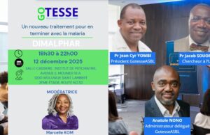 Lutte contre le paludisme: vers un médicament révolutionnaire