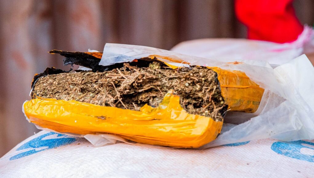 Lutte contre la drogue: plus de 39 tonnes de substances illicites incinérées à Zagtouli