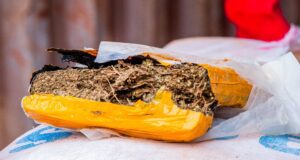 Lutte contre la drogue: plus de 39 tonnes de substances illicites incinérées à Zagtouli