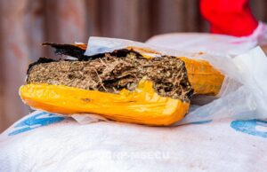 Lutte contre la drogue: plus de 39 tonnes de substances illicites incinérées à Zagtouli