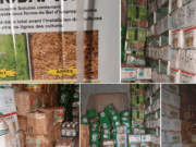 Lutte contre la fraude: plus de 700 colis de pesticides non homologués saisis
