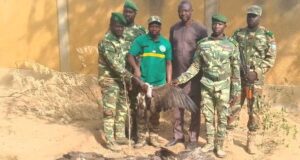 Burkina: un trafiquant de vautours charognards interpellé à Dori