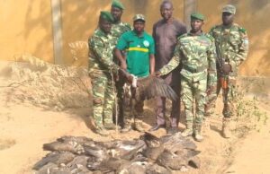 Burkina: un trafiquant de vautours charognards interpellé à Dori
