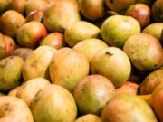 Burkina: l’ASE «obligatoire» pour l’exportation de la tomate, l’oignon, la mangue fraîche, le miel brut, le soja et l’arachide