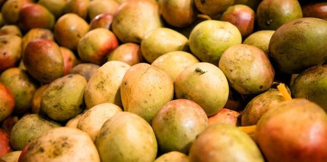 mangue..