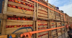 Burkina: levée de la suspension de l’exportation de la tomate fraîche
