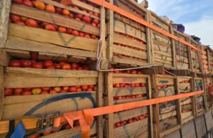 Burkina: levée de la suspension de l’exportation de la tomate fraîche