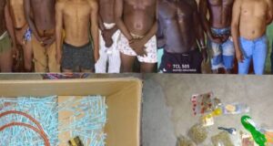 Trafic des produits psychotropes: 13 personnes aux arrêts