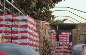Burkina: des marchandises frauduleuses d’une valeur de plus de 28 millions saisies