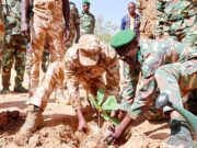 Journée de la Foret: « Les forêts constituent un levier pour (le) développement » du Burkina