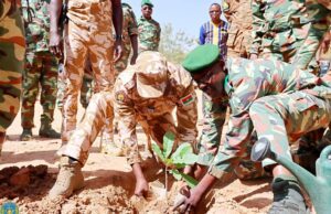 Journée de la Foret: « Les forêts constituent un levier pour (le) développement » du Burkina