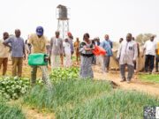 Autonomisation des femmes de Komtoèga: 8 hectares aménagés pour le maraîchage