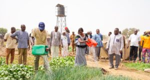 Autonomisation des femmes de Komtoèga: 8 hectares aménagés pour le maraîchage