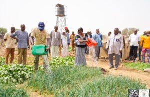Autonomisation des femmes de Komtoèga: 8 hectares aménagés pour le maraîchage