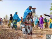 Autonomisation: les femmes de Gaoua ont leur périmètre maraîcher