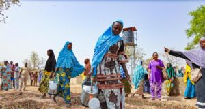 Autonomisation: les femmes de Gaoua ont leur périmètre maraîcher