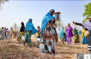 Autonomisation: les femmes de Gaoua ont leur périmètre maraîcher