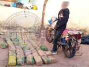 Un individu interpellé avec «43 kg de chanvre indien»
