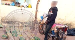 Un individu interpellé avec «43 kg de chanvre indien»