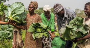 La guerre au Moyen-Orient, un choc pour la production alimentaire mondiale