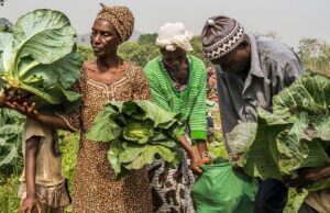 La guerre au Moyen-Orient, un choc pour la production alimentaire mondiale