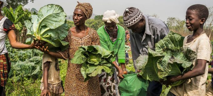 La guerre au Moyen-Orient, un choc pour la production alimentaire mondiale