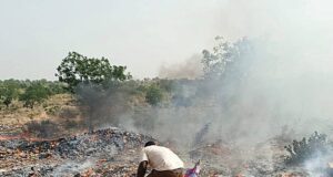 Tannounyan: des produits impropres à la consommation incinérés