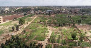 Ouagadougou: démarrage des travaux de délimitation physique de la Ceinture Verte