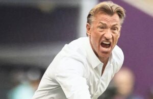 Hervé Renard viré de son poste de sélectionneur en Arabie Saoudite