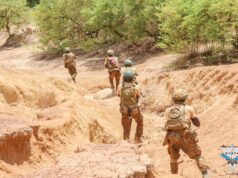 Burkina: plus de 400 terroristes neutralisés