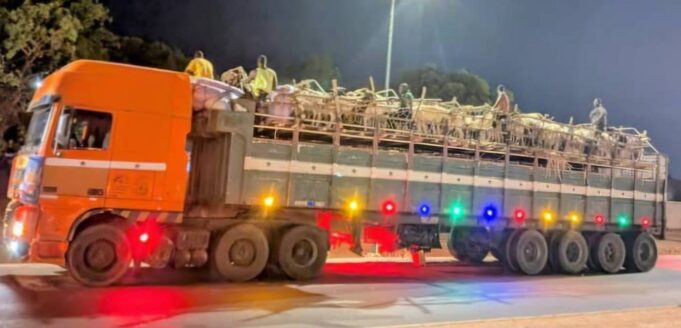Burkina: plusieurs remorques de bétail saisies