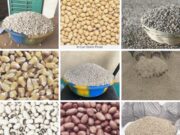 Burkina: voici les prix des semences et des engrais