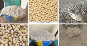 Burkina: voici les prix des semences et des engrais