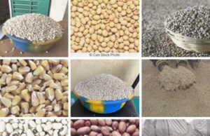 Burkina: voici les prix des semences et des engrais