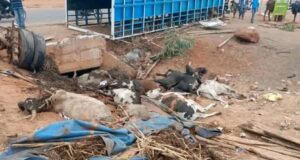 Ouagadougou: deux morts dans un accident de camion transportant du bétail à Komsilga