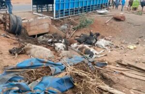 Ouagadougou: deux morts dans un accident de camion transportant du bétail à Komsilga