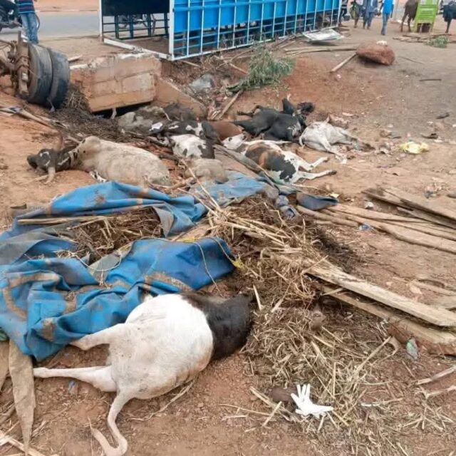 Ouagadougou: deux morts dans un accident de camion transportant du bétail à Komsilga