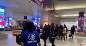 Migration: 243 migrants ivoiriens rapatriés depuis la Tunisie