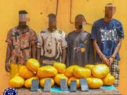 27 kg de drogue saisis à Ouagadougou ce mardi