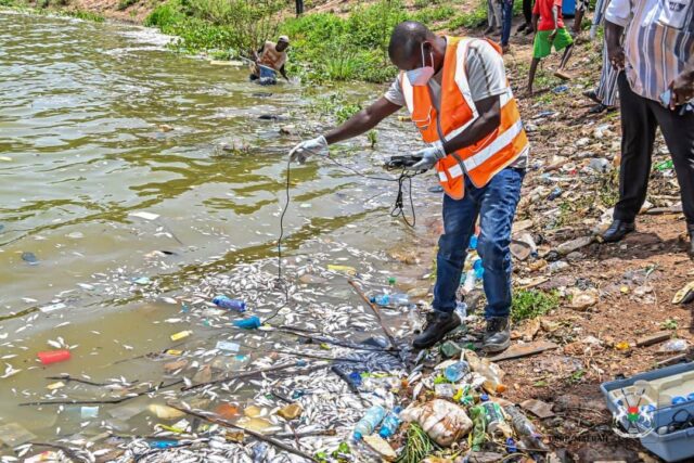 Mortalité de poissons au barrage numéro 3 de Ouagadougou