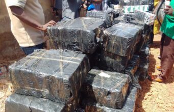Burkina: saisie de plus de 846 millions de F CFA de produits frauduleux