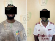 Quand la passion du football vire à l’illégalité en Côte d’Ivoire