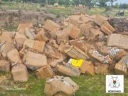 Burkina: 5 936 plaquettes d’œufs de près d’un million détruites à Gaoua