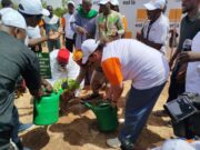 Journée Mondiale de l’environnement: Orange Burkina Faso crée un jardin botanique à travers une convention avec le Musée National