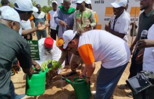 Journée Mondiale de l’environnement: Orange Burkina Faso crée un jardin botanique à travers une convention avec le Musée National