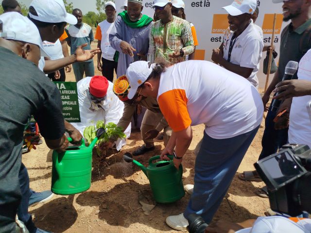 Journée Mondiale de l’environnement: Orange Burkina Faso crée un jardin botanique à travers une convention avec le Musée National