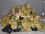 Sénégal: 91 kg de chanvre indien saisis